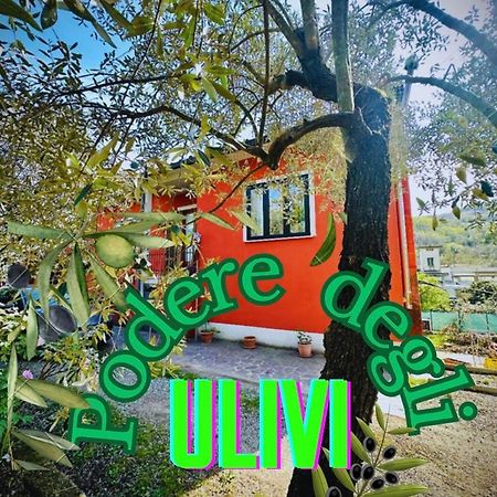 Podere Degli Ulivi Family Serravalle Pistoiese Exterior foto